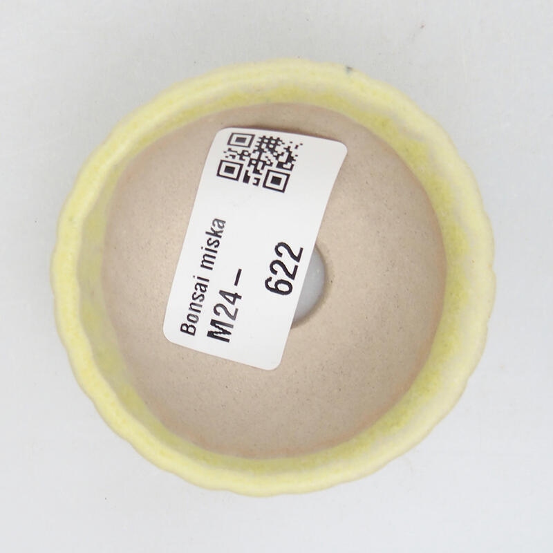 Mini bonsai tál 5,5 x 5,5 x 3 cm, zöld
