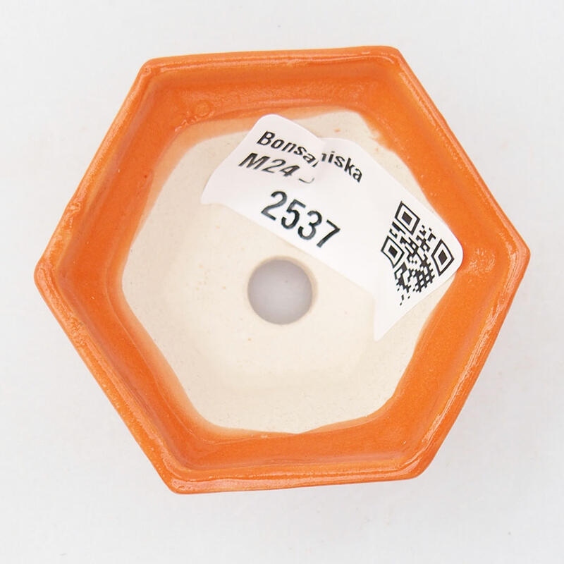 Mini bonsai tál 5,5 x 5 x 3 cm, narancssárga