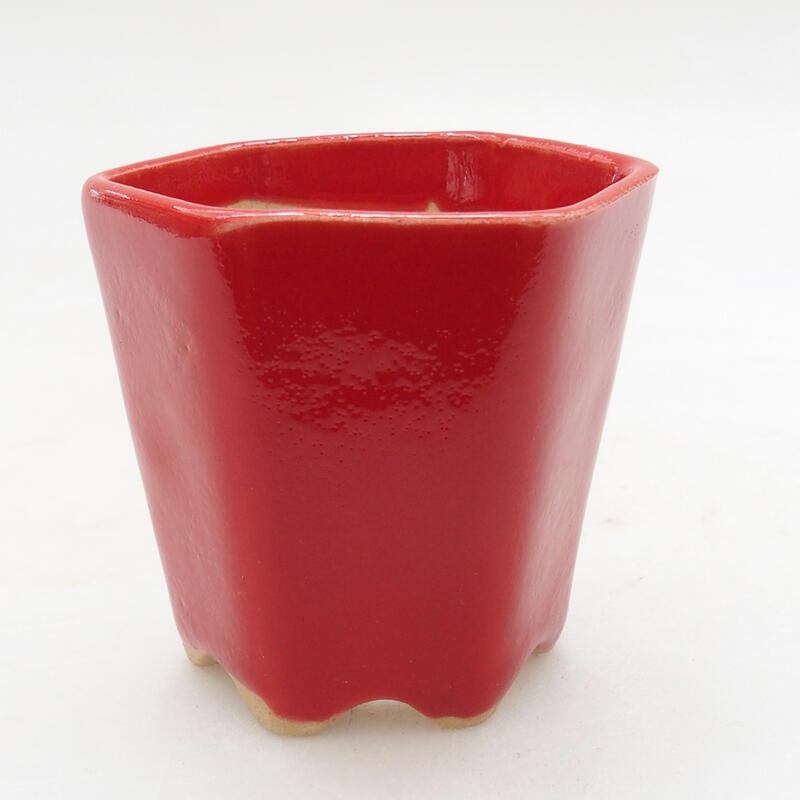 Mini bonsai tál 5,5 x 5 x 5 cm, piros színben