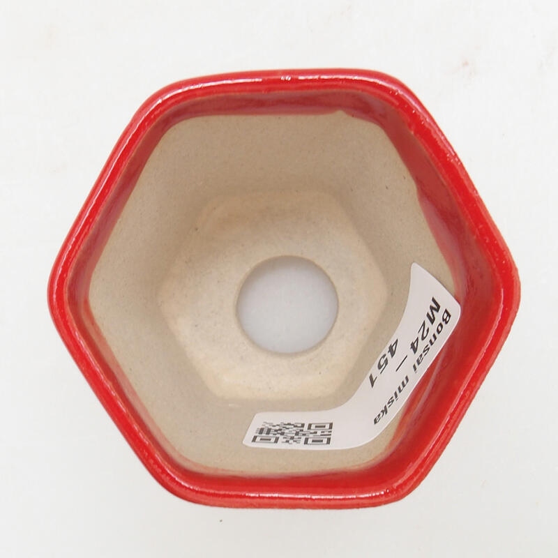 Mini bonsai tál 5,5 x 5 x 5 cm, piros színben