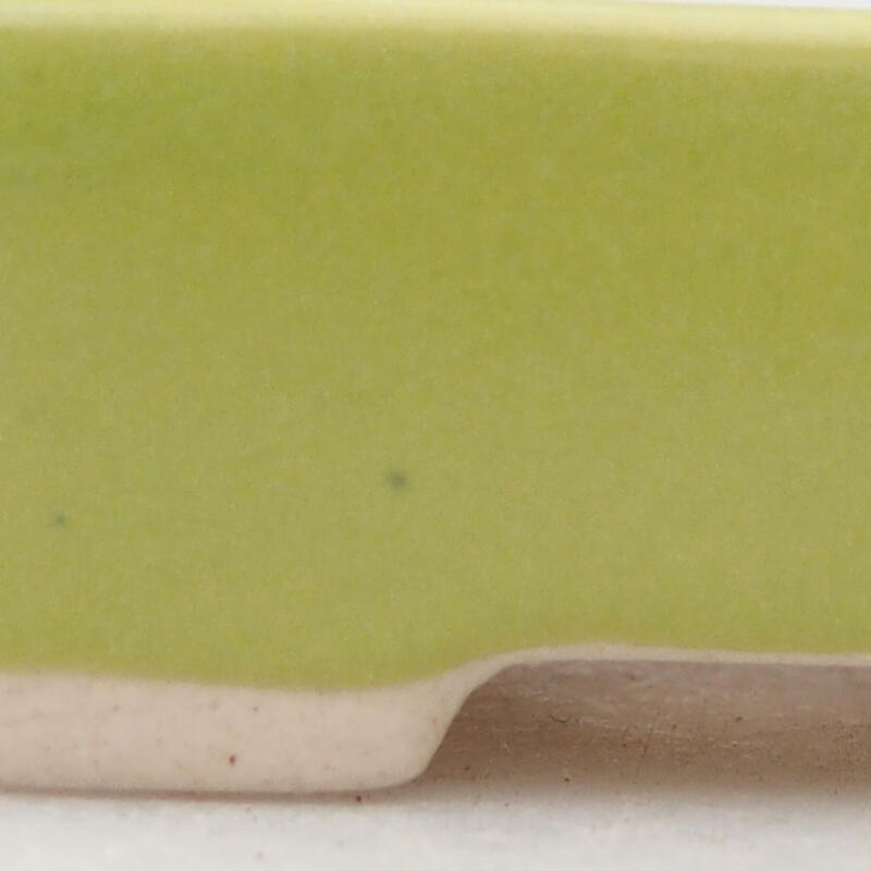 Mini bonsai tál 5 x 3 x 1,5 cm, zöld