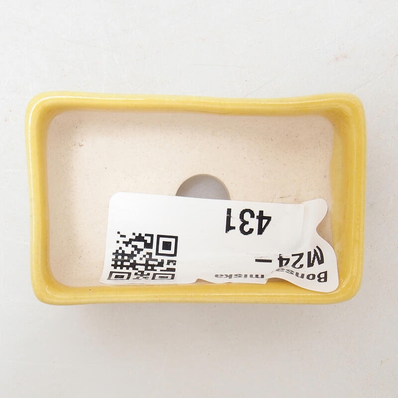 Mini bonsai tál 5 x 3 x 2 cm, sárga