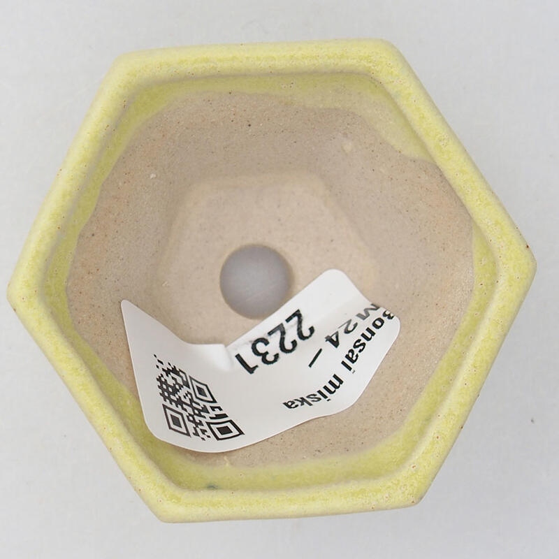 Mini bonsai tál 5 x 5 x 2,5 cm, sárga