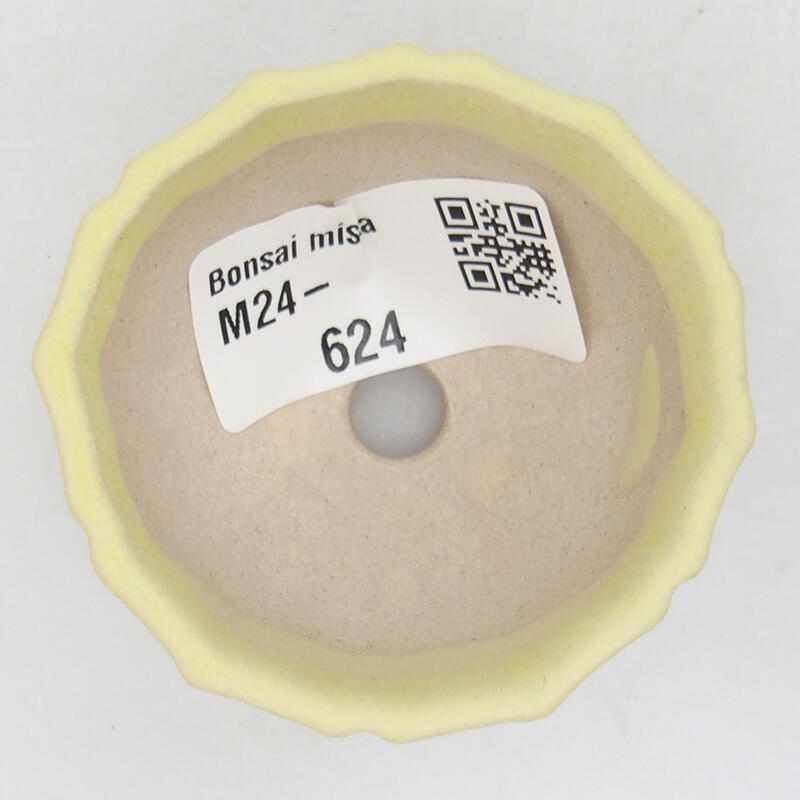 Mini bonsai tál 5 x 5 x 3,5 cm, zöld
