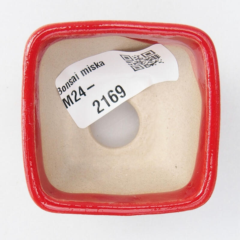 Mini bonsai tál 5 x 5 x 3 cm, piros színben
