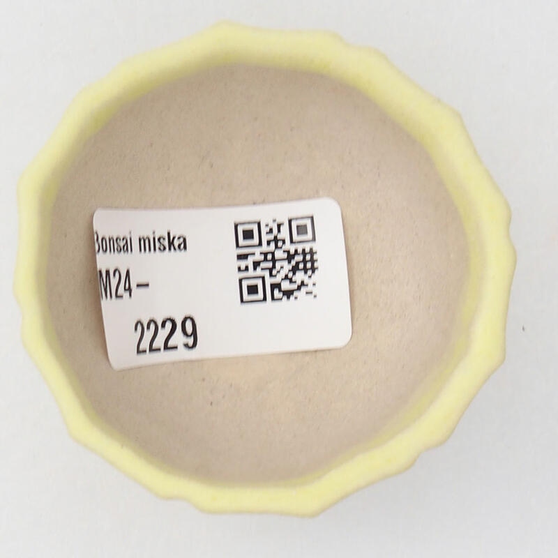 Mini bonsai tál 5 x 5 x 3 cm, sárga