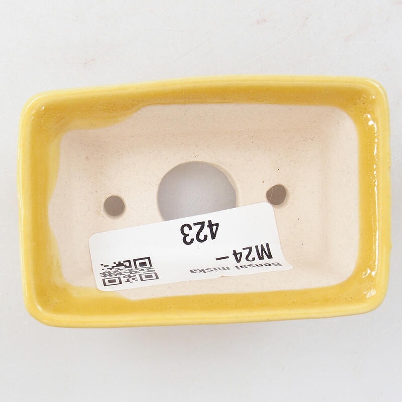 Mini bonsai tál 6,5 x 4 x 2,5 cm, sárga