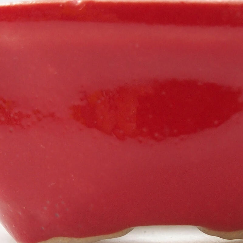 Mini bonsai tál 6,5 x 6,5 x 2,5 cm, piros színben