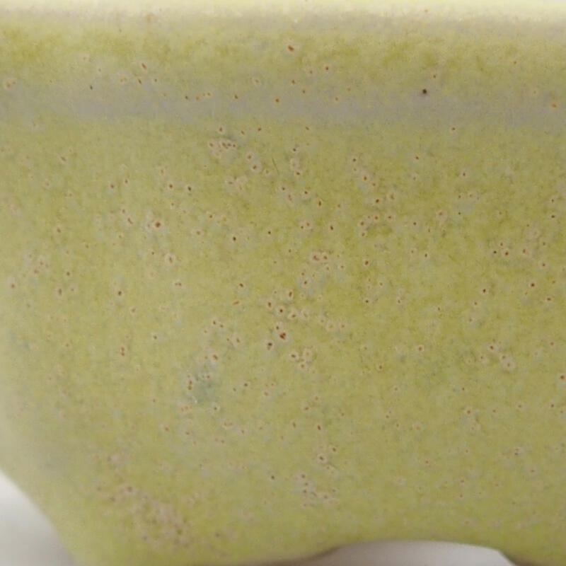 Mini bonsai tálka 6,5 x 6,5 x 2,5 cm, zöld