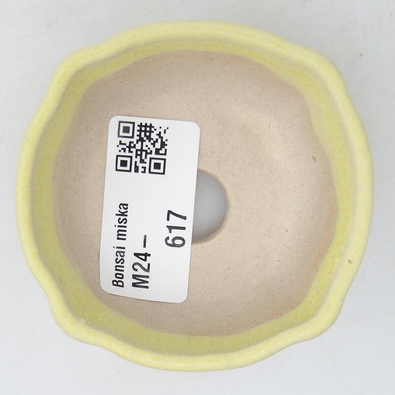 Mini bonsai tálka 6,5 x 6,5 x 2,5 cm, zöld