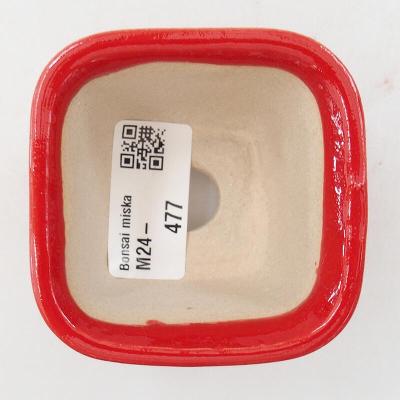 Mini bonsai tál 6,5 x 6,5 x 4,5 cm, piros színben