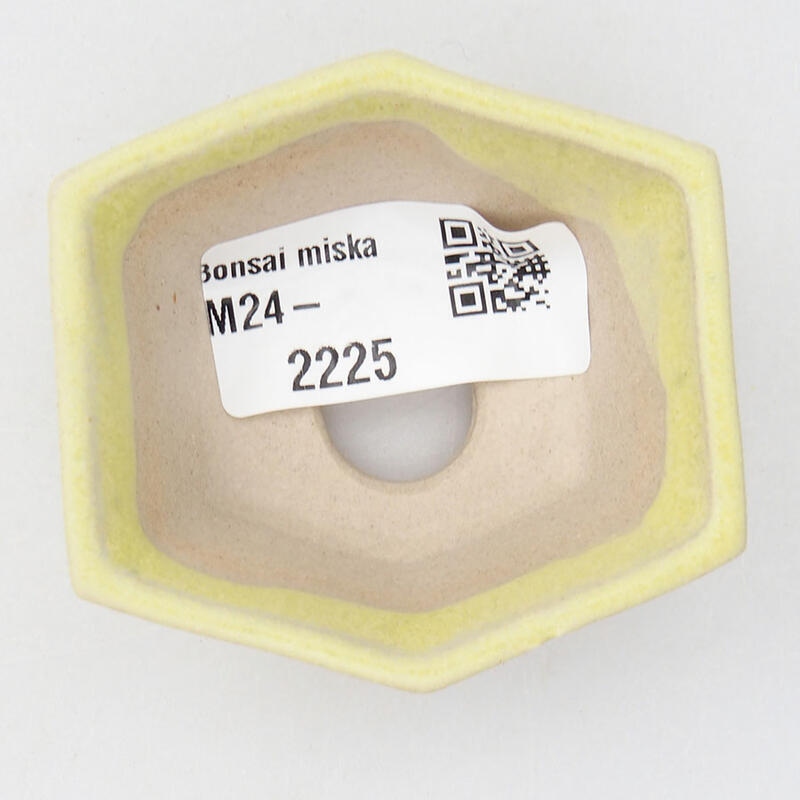 Mini bonsai tál 6 x 5,5 x 2 cm, sárga