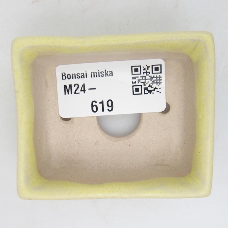 Mini bonsai tál 6 x 5 x 2,5 cm, zöld
