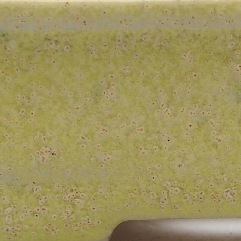 Mini bonsai tál 6 x 5 x 2,5 cm, zöld