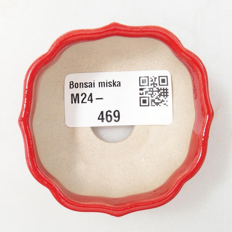 Mini bonsai tál 6 x 6 x 3 cm, piros színben