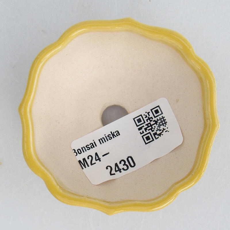 Mini bonsai tál 6 x 6 x 3 cm, sárga