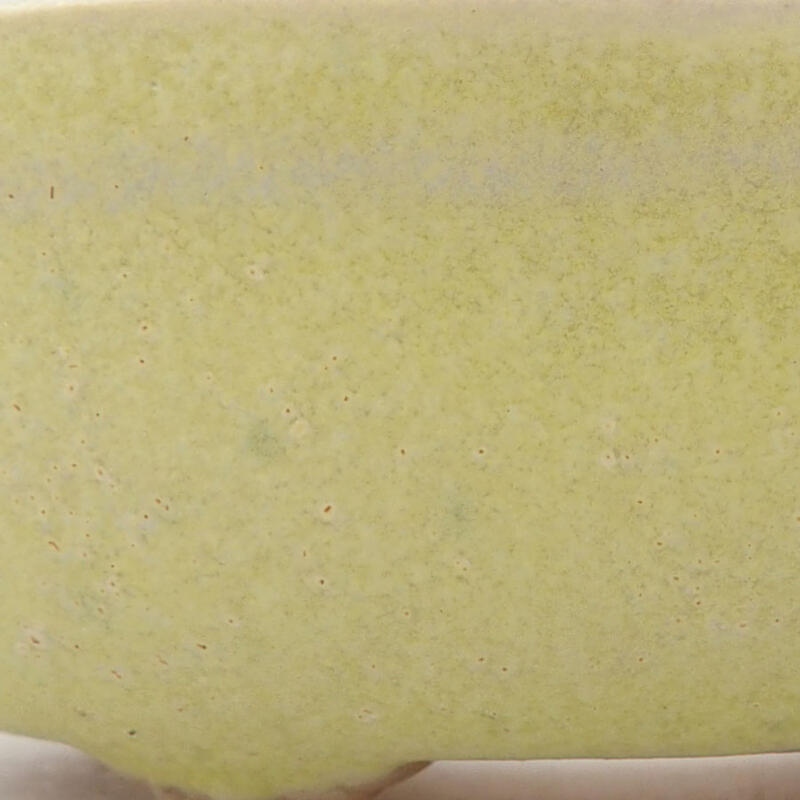 Mini bonsai tál 7 x 5 x 2 cm, sárga