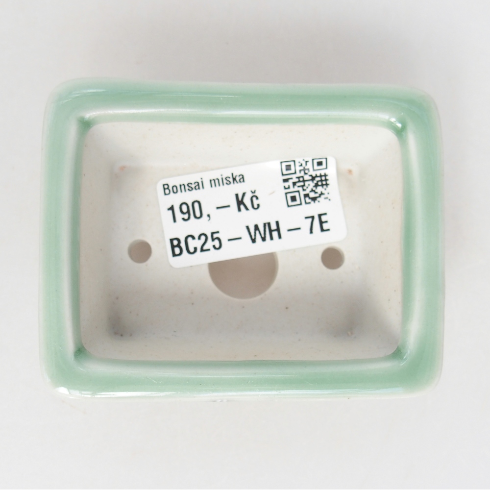 Mini bonsai tál 8 x 6 x 3 cm, zöld