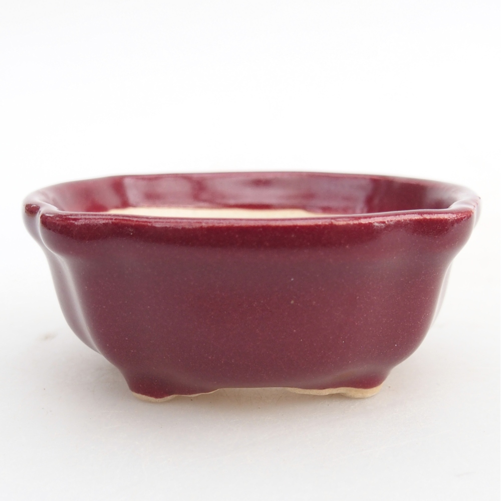 Mini bonsai tál 6,5 x 6,5 x 3 cm, bordó színben