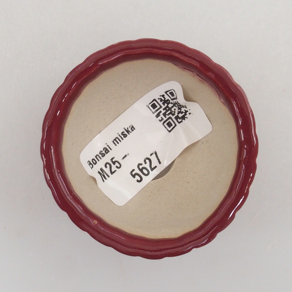 Mini bonsai tál 5 x 5 x 2,5 cm, bordó színben