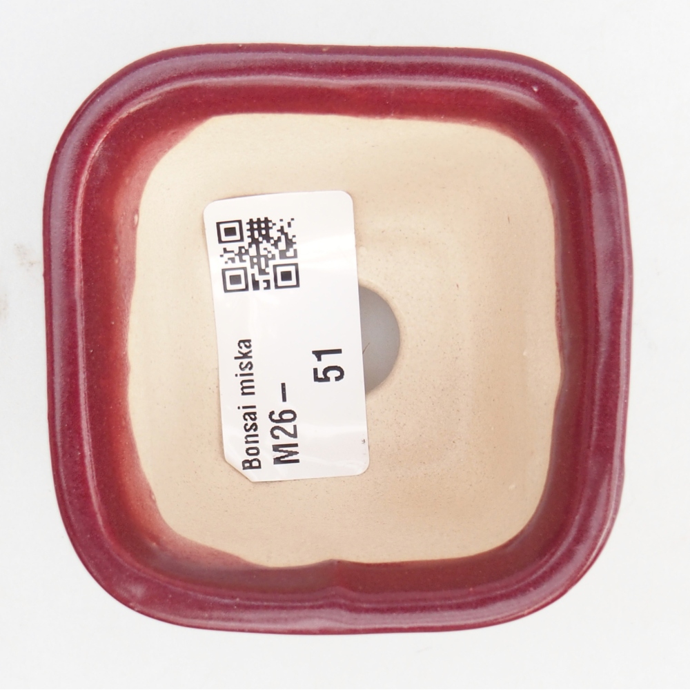 Mini bonsai tál 6 x 6 x 4,5 cm, bordó színű