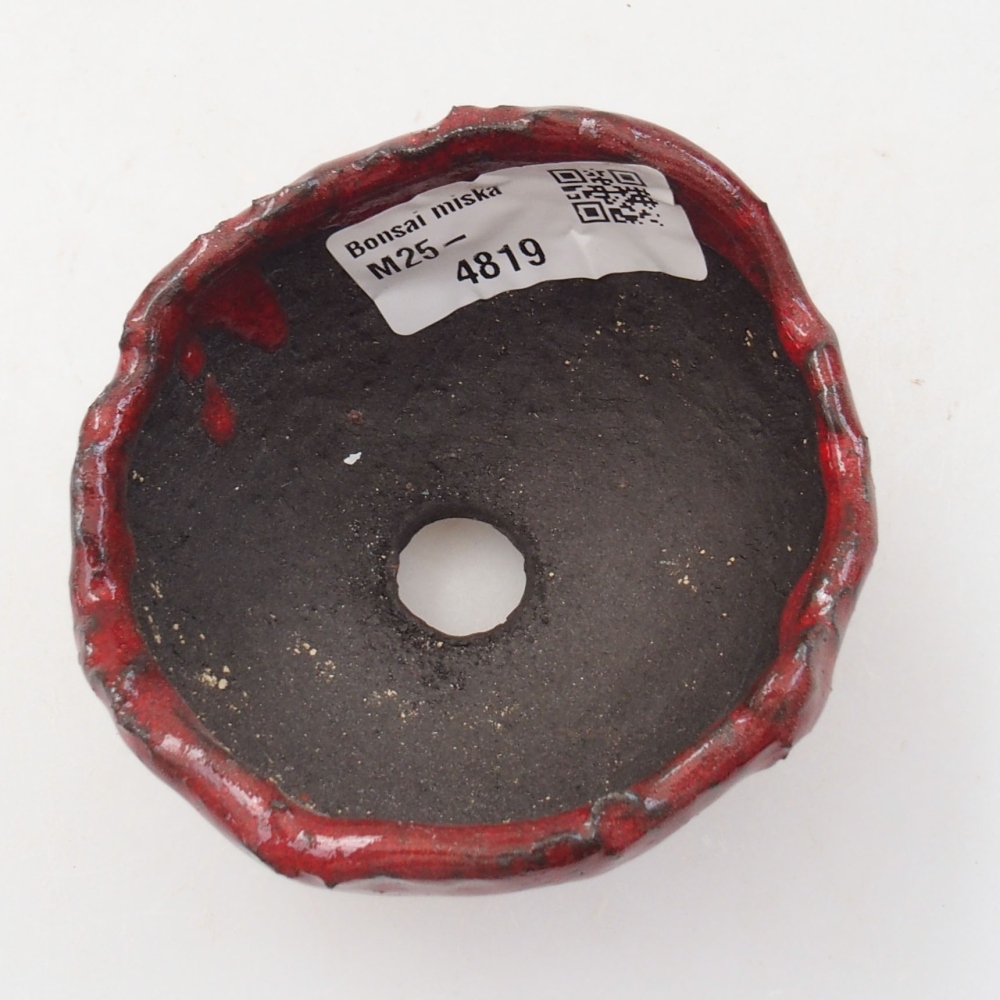 Kerámia kagyló 7 x 6,5 x 5 cm , piros színű