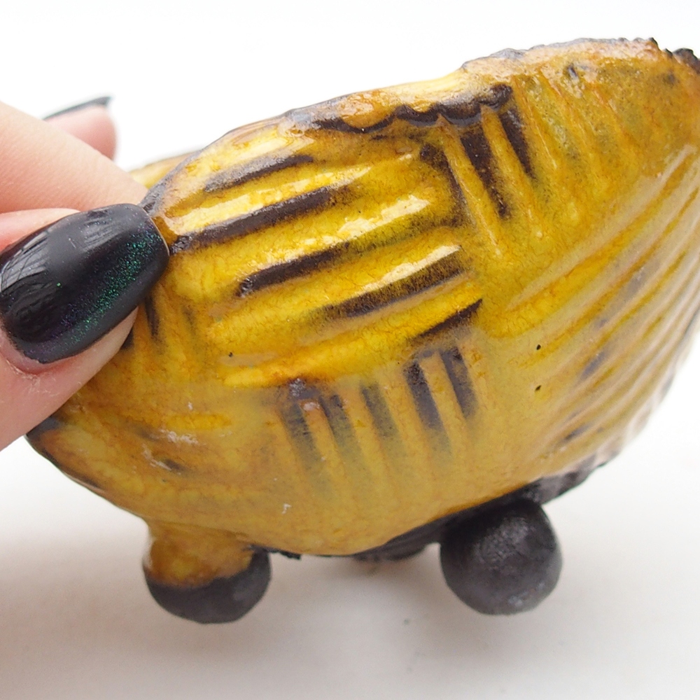 Kerámia kagyló 9 x 8 x 5,5 cm , sárga