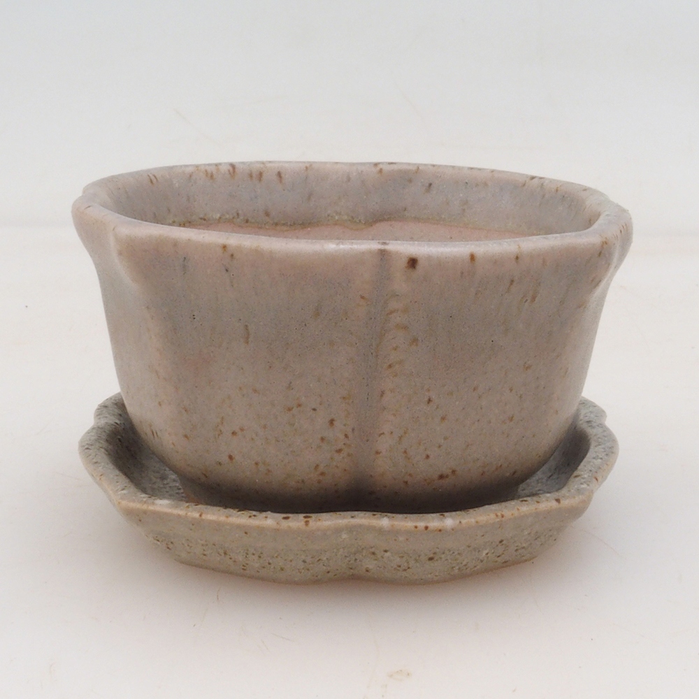 Bonsai tál + csészealj H95 - bézs színben