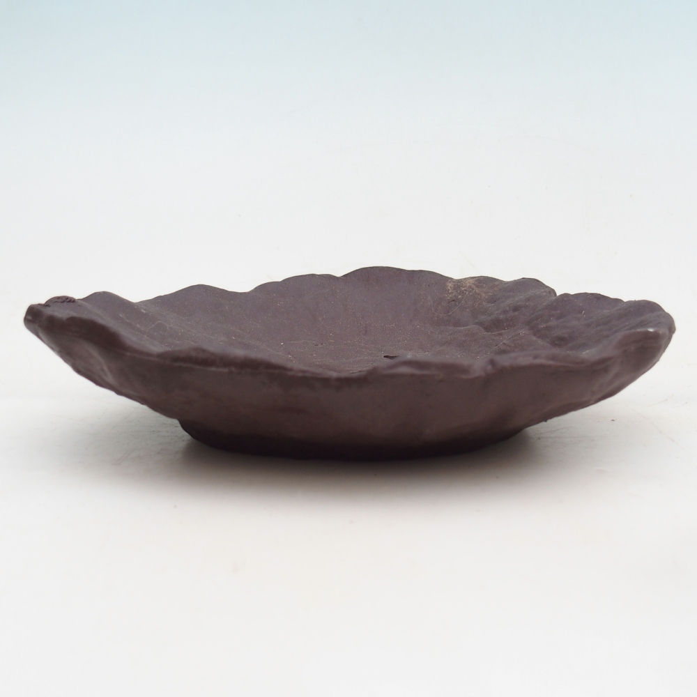 Kerámia kagyló 16 x 14,5 x 4 cm , színe barna