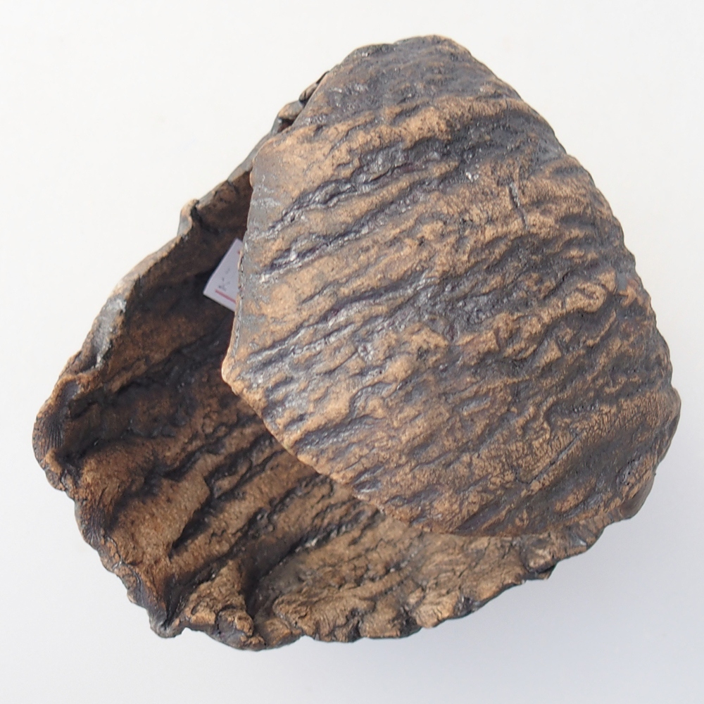 Kerámia kagyló 10 x 9 x 10 cm , barna színű