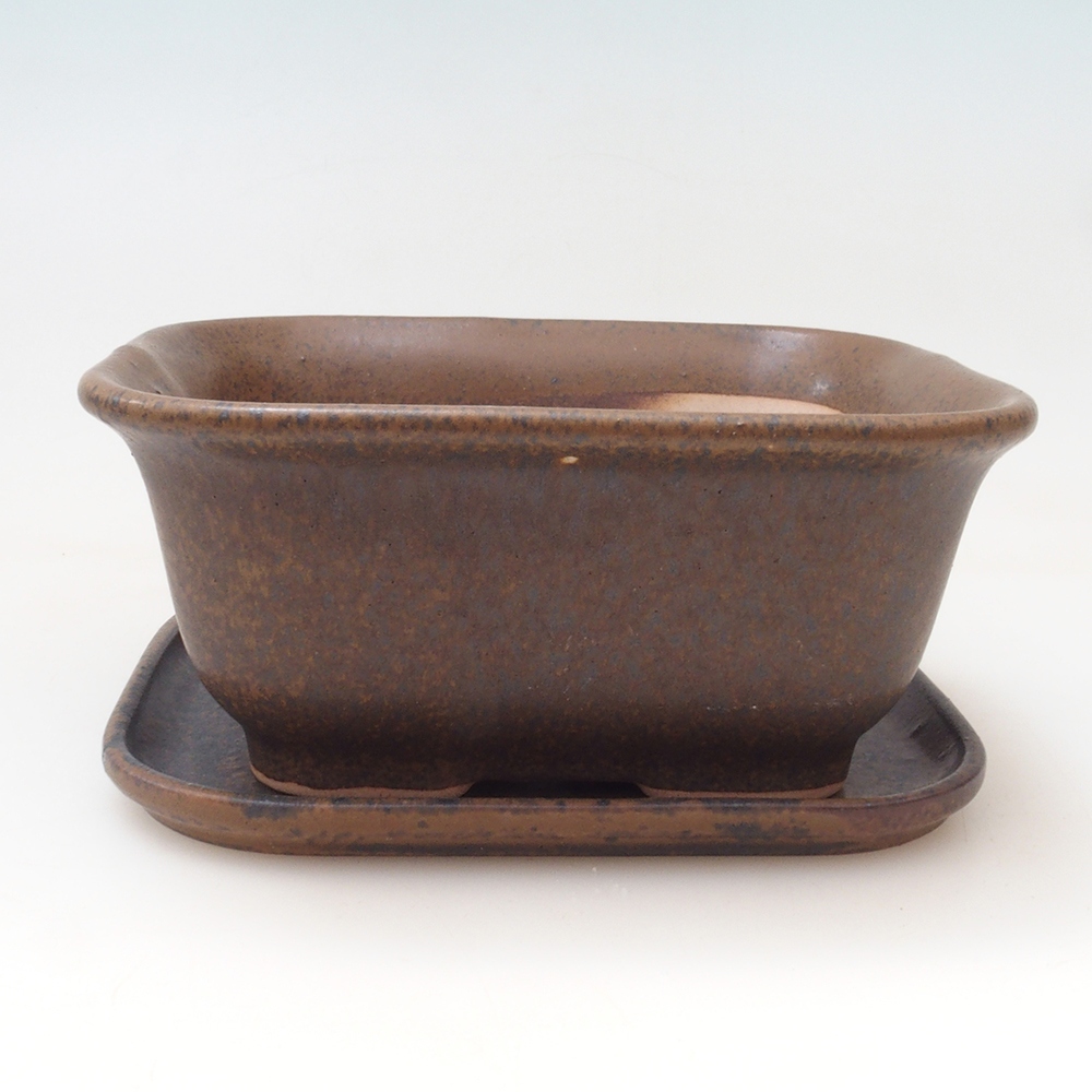 Bonsai tál + csészealj H38 - 12x10x5,5 cm. - barna