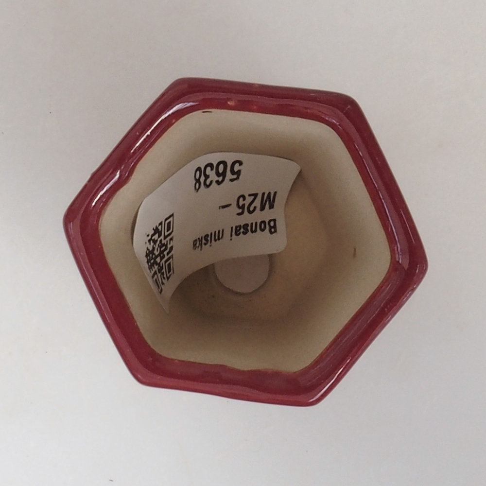 Mini bonsai tál 4,5 x 4 x 6 cm, bordó színben