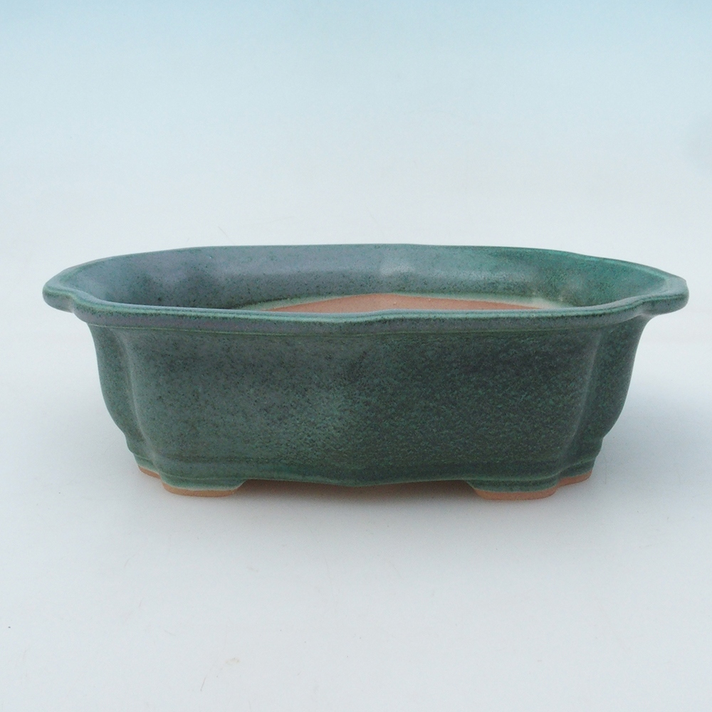 Bonsai tál + csészealj H51 - 18x14x5 cm - zöld