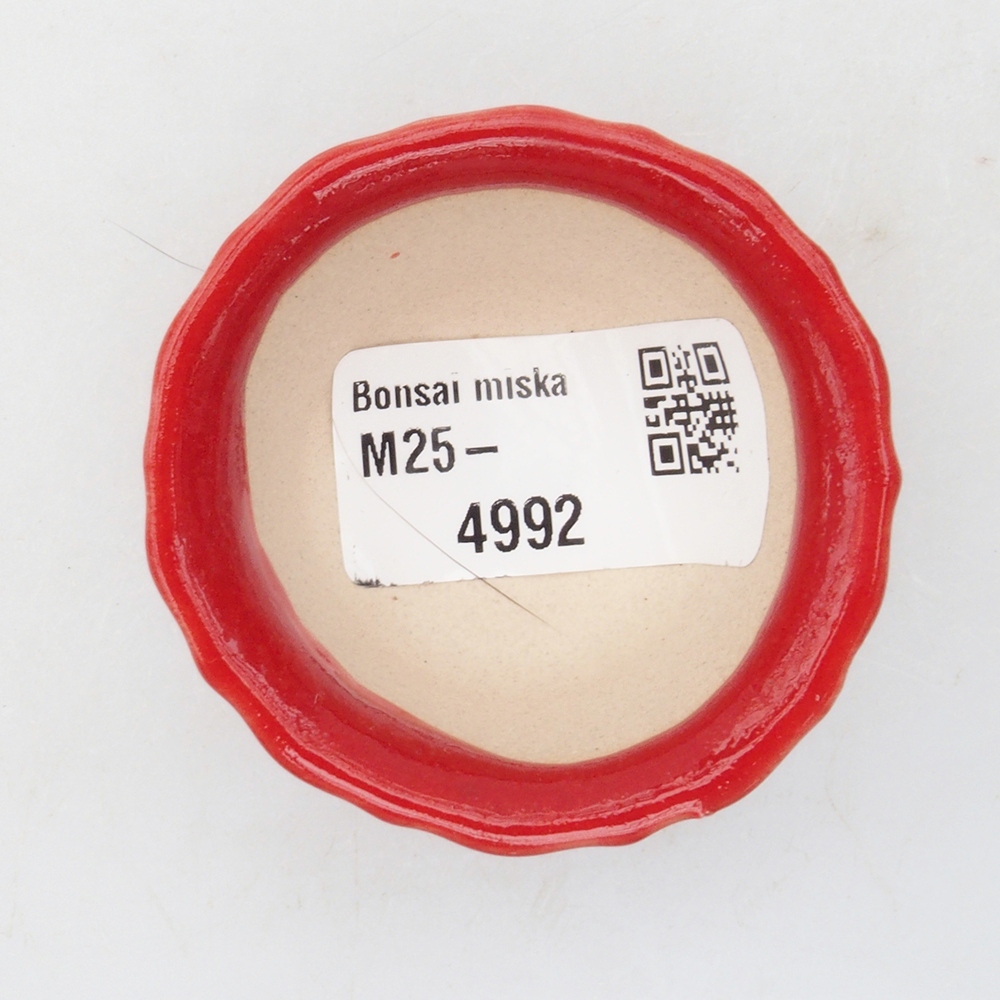 Mini bonsai tál 5 x 5 x 3 cm, piros színben