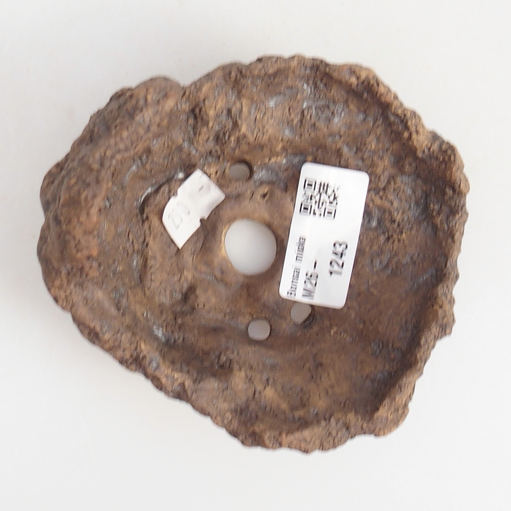 Kerámia kagyló 10 x 9 x 9 cm , barna színű