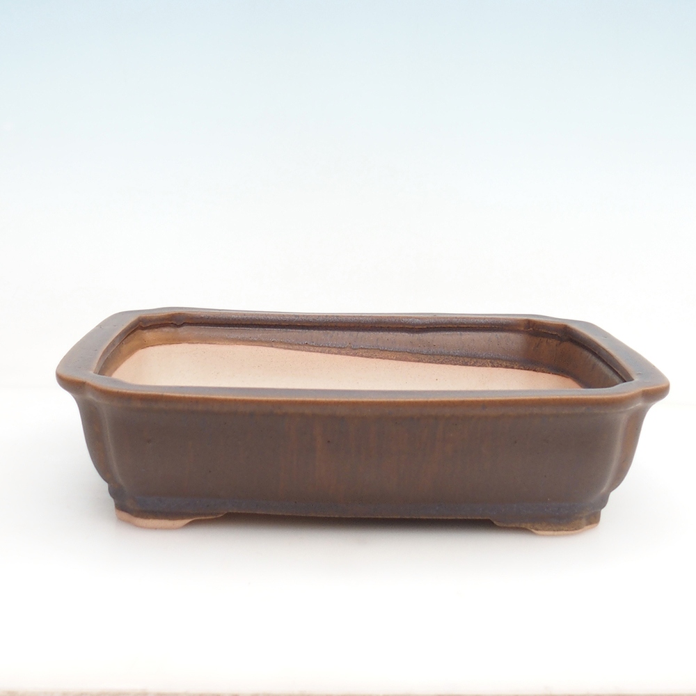 Bonsai tál H07 - 30 x 20,5 x 8 cm.