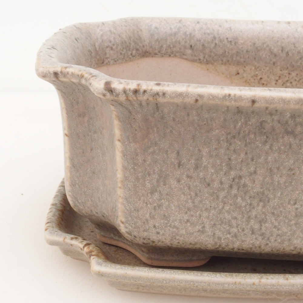 Bonsai tál + csészealj H01 - bézs