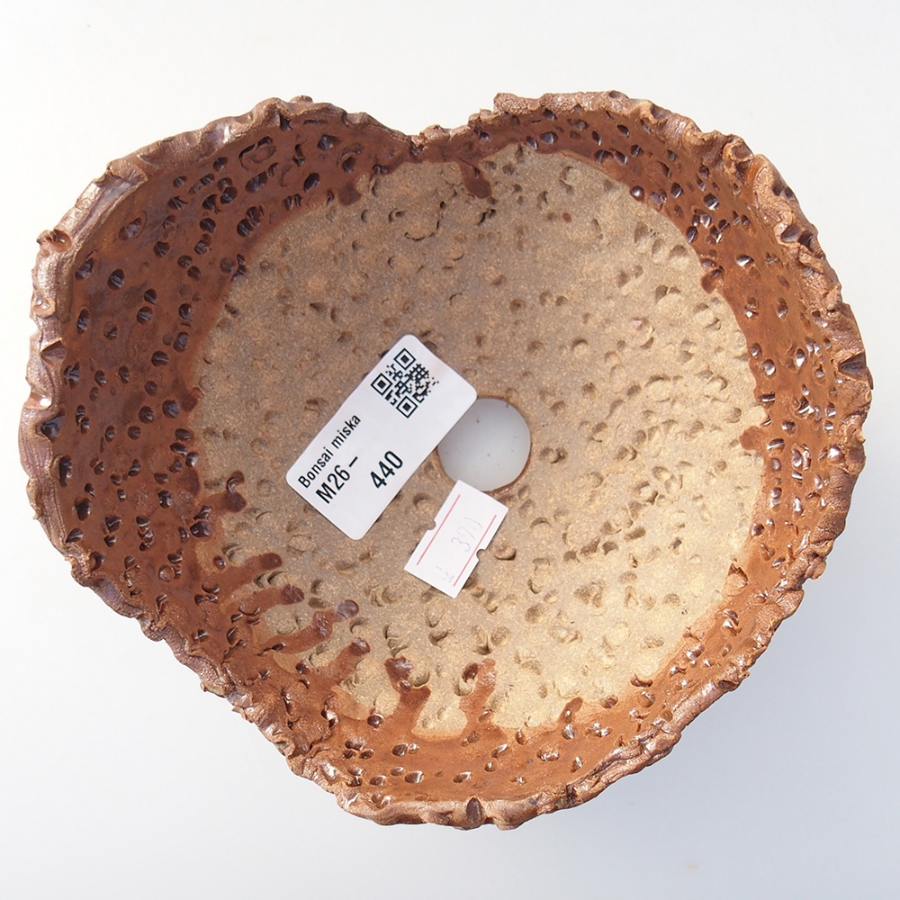 Kerámia kagyló 12,5 x 12,5 x 9 cm , színe barna