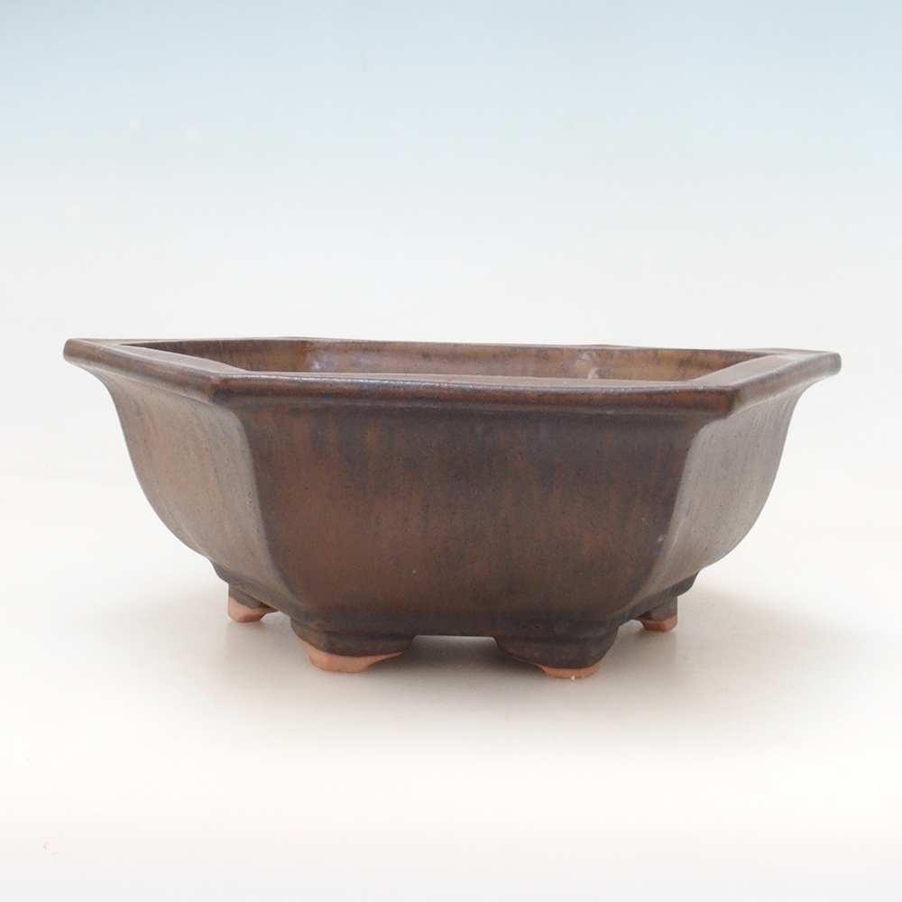 Bonsai tál H53 - 19 x 21,5 x 7 cm - barna