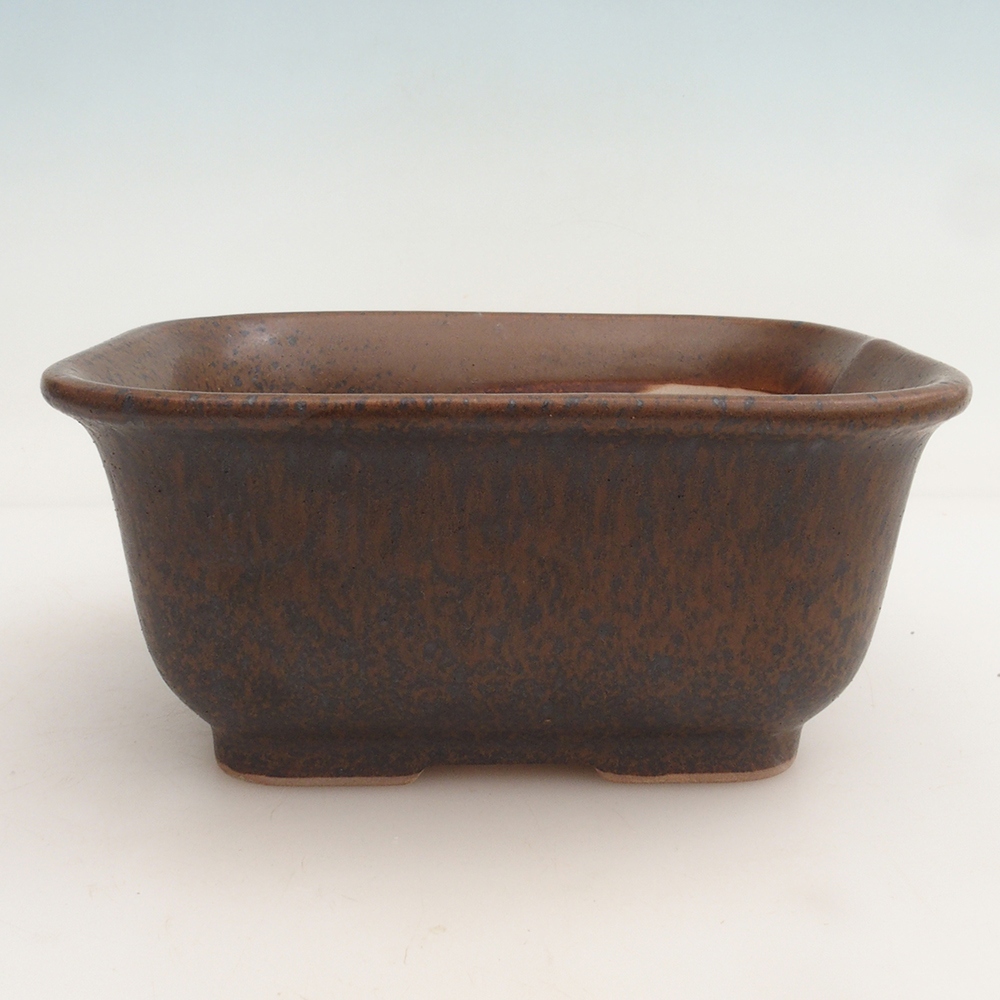 Bonsai tál + csészealj H36 - 17 x 15 x 7,5 cm. - barna