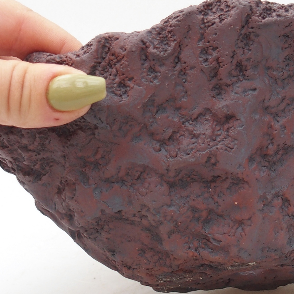 Kerámia kagyló 20 x 16 x 15,5 cm , barna színű