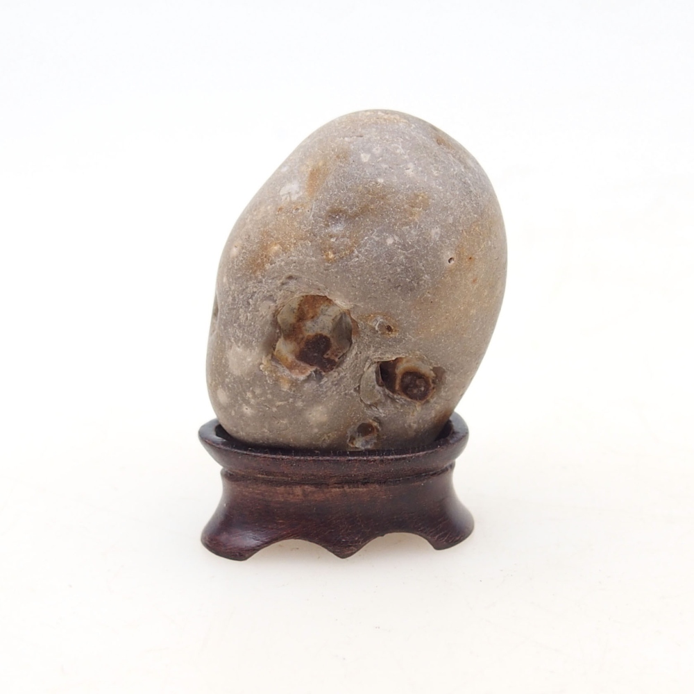 Suiseki - Kő DAI-val (fa alapon)