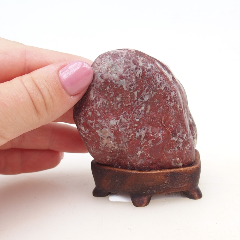 Suiseki - Kő DAI-val (fa alapon)