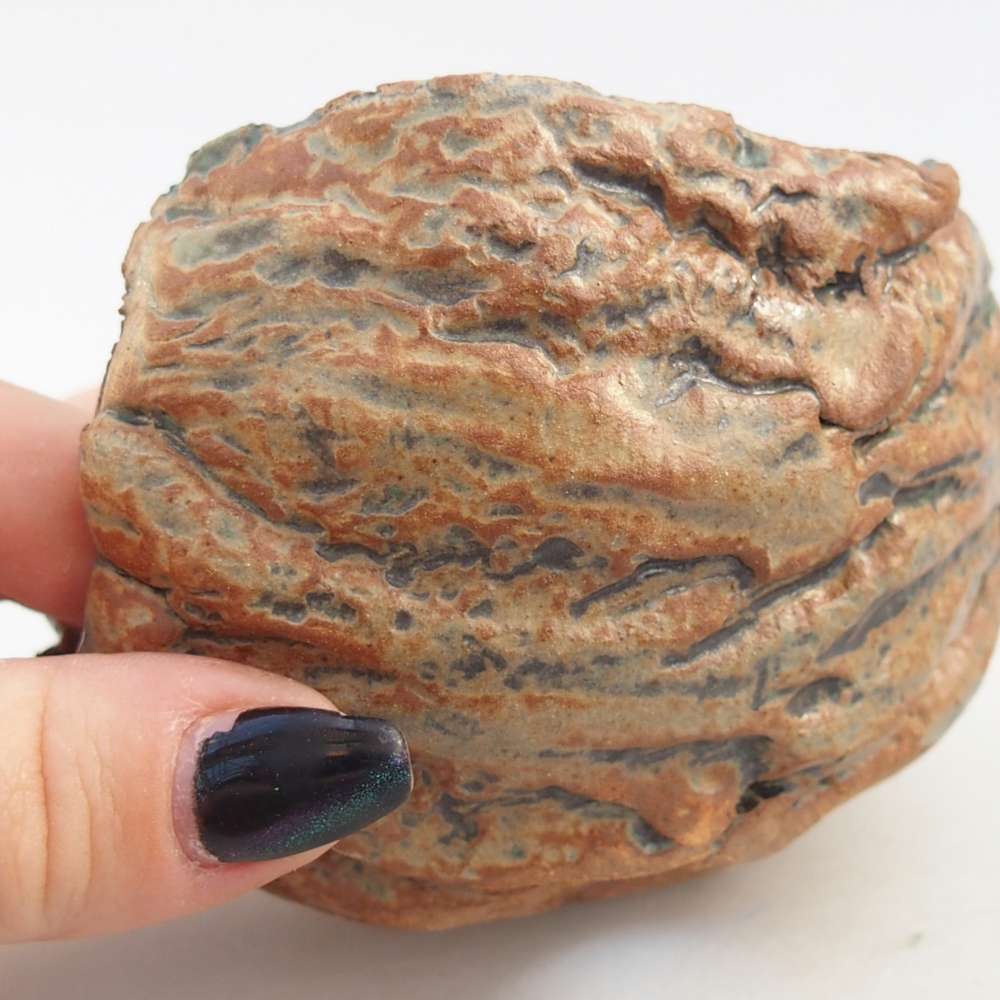 Kerámia kagyló 9,5 x 9,5 x 6,5 cm , barna-zöld színű