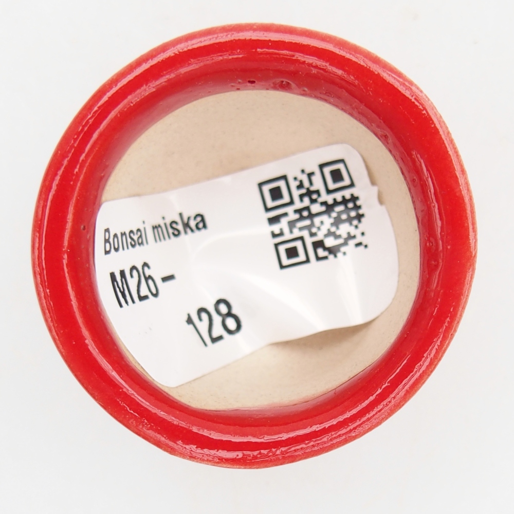 Mini bonsai tál 4 x 4 x 2,5 cm, piros színben