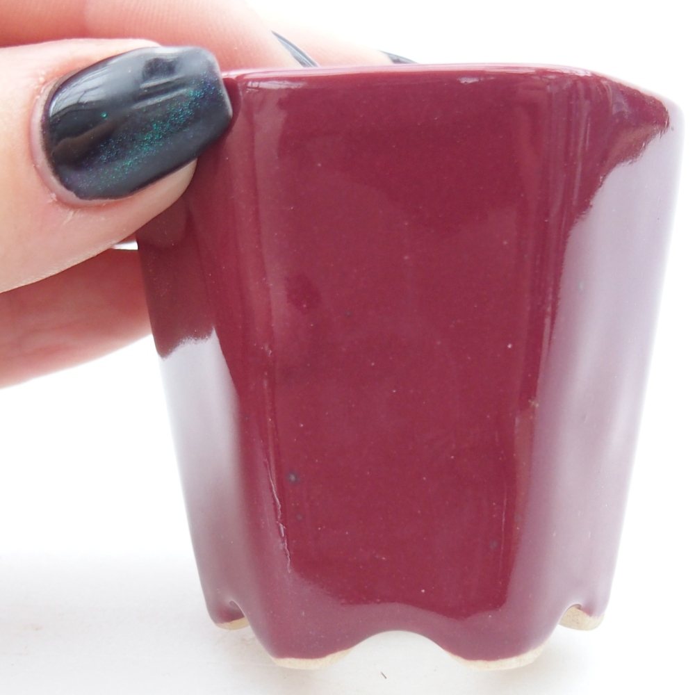 Mini bonsai tál 5,5 x 5 x 5 cm, bordó színben