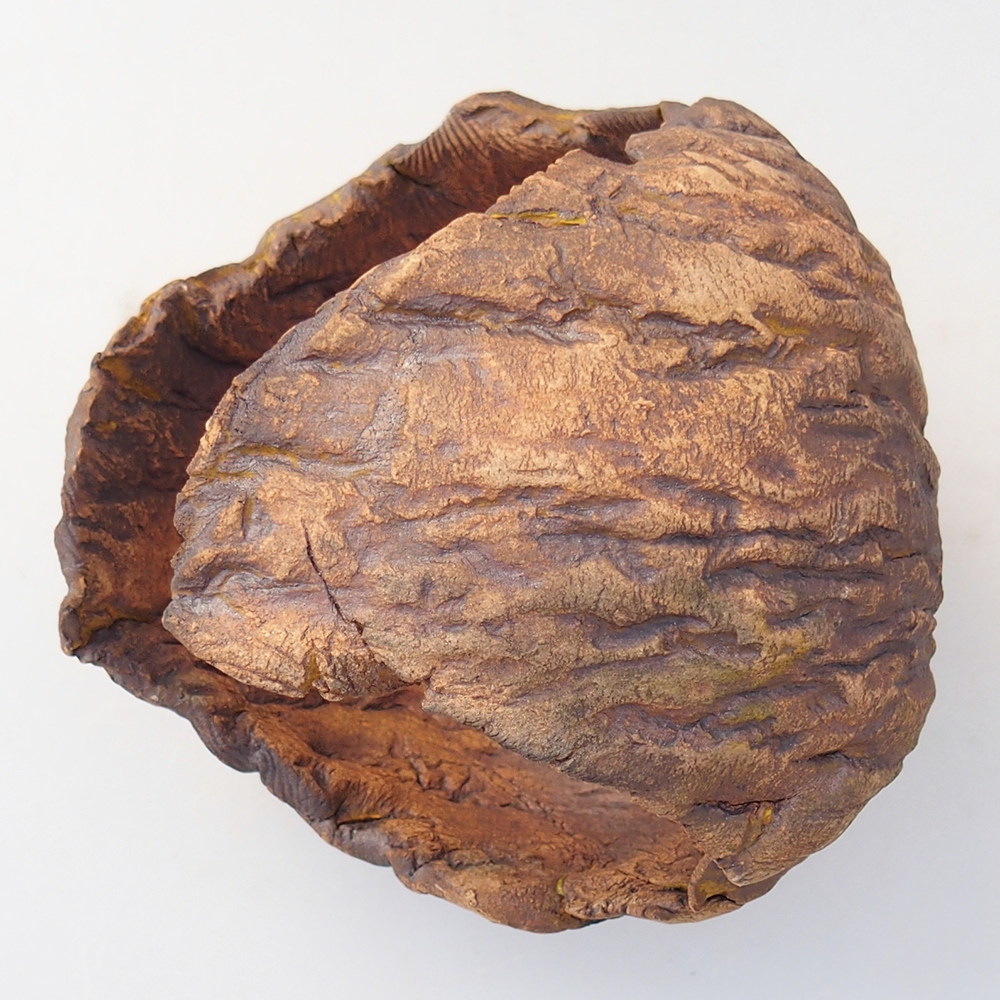 Kerámia kagyló 10 x 9,5 x 10 cm , barna színű