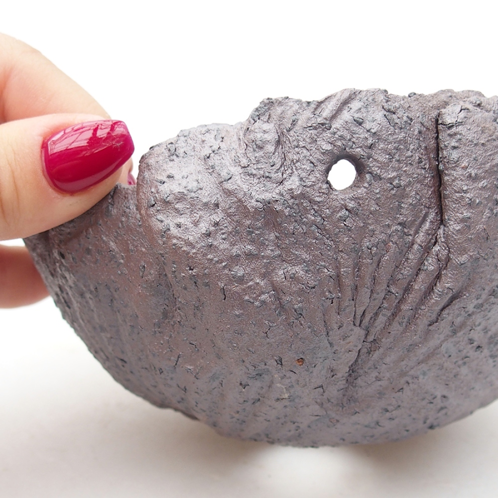 Kerámia kagyló 13,5 x 13 x 7 cm , fémes színű