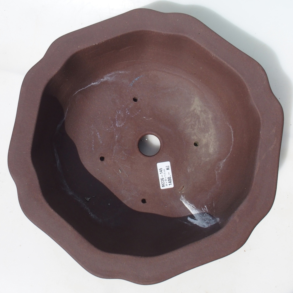 Bonsai tál 39 x 39 x 11,5 cm nyírfa barna