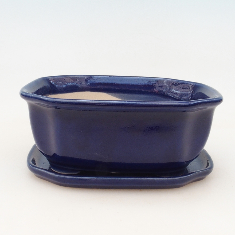 Bonsai tál + csészealj H31 - kék